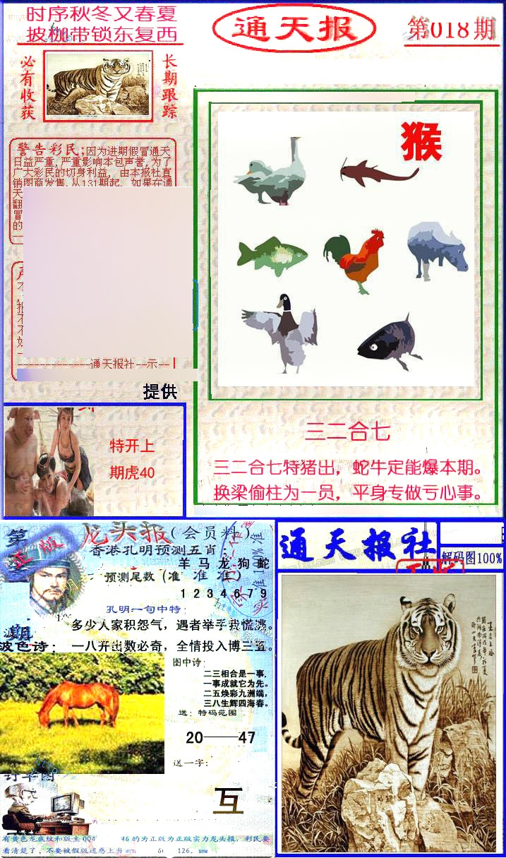 018期实力通天报[图]